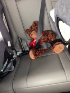 Rex insisted on strapping his teddy bear in. Cute, right?
